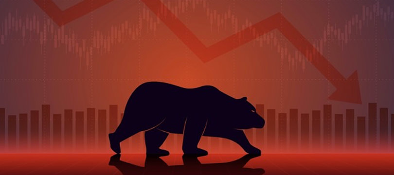 Bear Market: What It Is and How to Face It