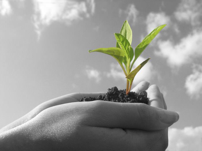 Becoming a Professional Trader: The 3 Essential Steps