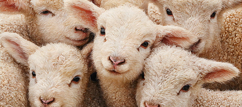 Herd behavior in trading and the cost of following the crowd