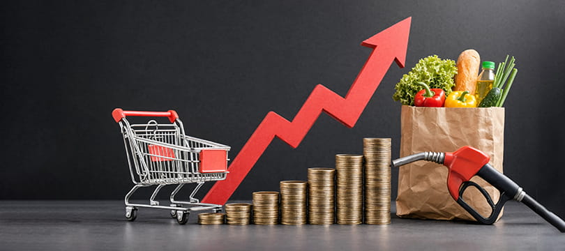 A shopping cart, a rising red arrow over stacks of coins, a paper grocery bag and a fuel pump nozzle on a dark background