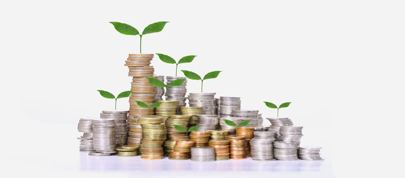 Importance of Money Management in Forex Trading